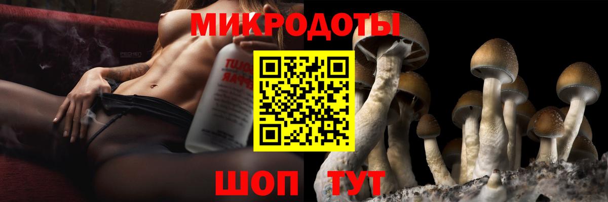 Алушта  Псилоцибиновые грибы ЛСД  Вход с VPN 